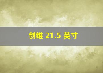 创维 21.5 英寸